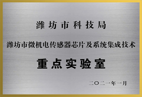 BG大游集团电子获批潍坊市重点实验室声誉
