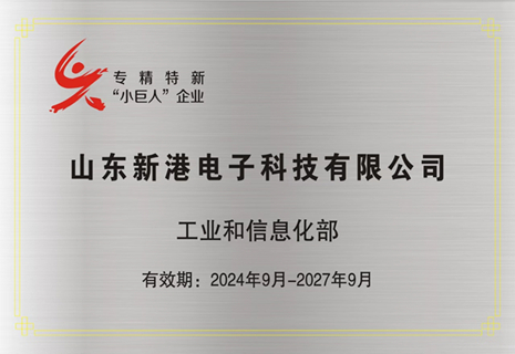 喜讯！BG大游集团电子入选第六批专精特新“小巨人”企业称呼
